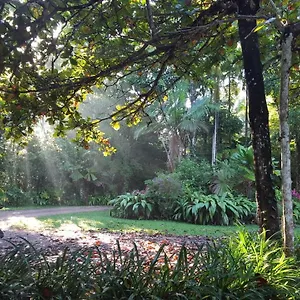 Fanpalm Creek Hideaway Holiday home